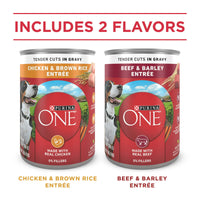 Purina ONE Real Beef & Chicken Wet Dog Food Variety Pack13 oz Can (6 Pack)