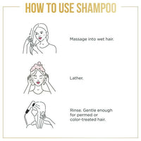 Pantene Pro-V Repair & Protect Shampoo;  10.4 oz